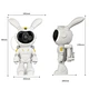 Astronaut Projectors