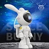 Astronaut Projectors